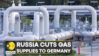 No gas supply though Nord Stream 1 pipeline, EU chief calls out Russia for 'manipulation' | WION