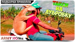 ЛУЧШИЕ ПРИКОЛЫ # 7