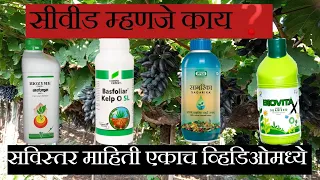 सीवीड म्हणजे काय? कॉम्बिनेशन, प्रमाण सविस्तर माहिती|what is seaweed extract in marathi.