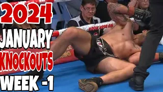 MMA & Boxing Knockouts I January 2024 Week 1