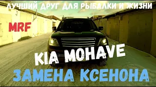 Замена ксенона на KIA Mohave (ближний свет) LYNXauto L19535 4300К