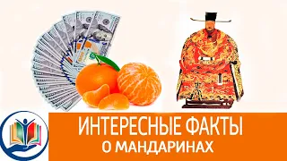 Интересные факты о мандаринах