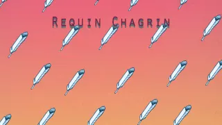 Requin Chagrin - Adelaïde