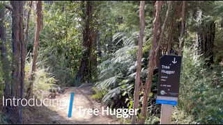 Tree Hugger - Kaiteriteri Mountain Bike Park