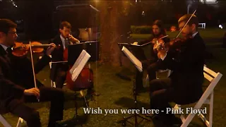 Wish you were here String Quartet Pink Floyd - Cuarteto de cuerdas para bodas en Capital