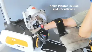 Ankle Joint Rehabilitation Training on the Isokinetic Training Equipment