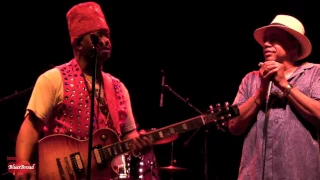 BILLY BRANCH & LIL' ED ⋆ Baby What You Want Me To Do ⋆  7/31/15 Riverfront Blues Fest