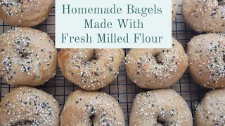 Homemade Bagels Made With Fresh Milled Flour | Basic Bread Recipe | Whole Wheat | Everything Bagels