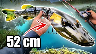 MONSTER vs Tiny Lures for PIKE FISHING 🔥 (1000 g Swimbait!!!)