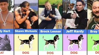 Top 60 Wwe Superstars Favourite pets