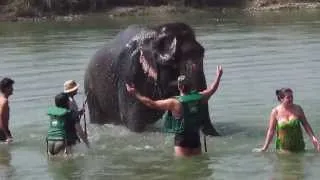 Читван (купание со слонами 1) Настоящий Непал октябрь 2013