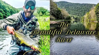 Catskills Fly Fishing "East Branch Delaware River"