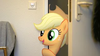 Applejack's Friendship Quest (MLP in real life)