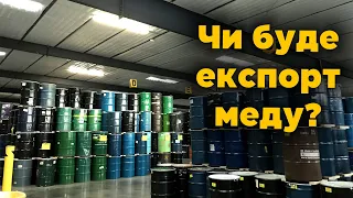 Експорт меду до ЄС. Скільки меду Україна експортувала до ЄС в 2022 році?