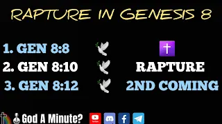 Rapture Typology In Genesis 8!💥🕊🕊🕊