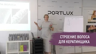 Строение волоса для кератинщика