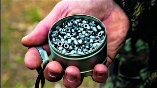 Top 5 Best Airgun Pellets To Buy in 2022 | Airgun Pellet 2022