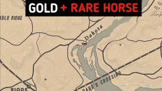 Many Players Ignored This Rare Horse After Looting Gold From This Funniest Guy - RDR2