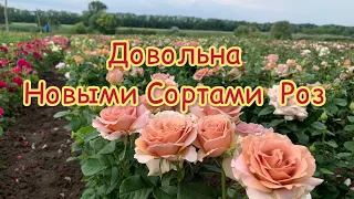 Довольна новыми сортами