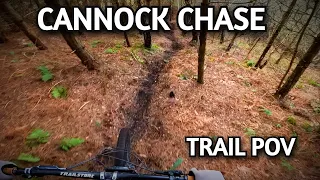 One of the best UK MTB trail Centers - Cannock Chase Follow the Dog & Monkey Full POV 2023