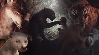 Mowgli: Legend of the Jungle | Beautiful Creatures