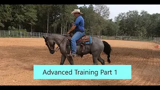 Advanced reining maneuvers training ride on a 4 year old part 1