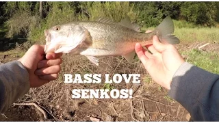 Bass Fishing Senko Fest At Coyote Lake