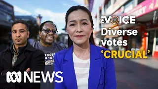 Diverse vote ‘crucial’ to outcome of Voice referendum, analysts say | ABC News