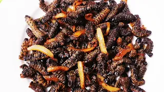 Mopane worms/How to cook mopane worms/madora/amacimbi - Emperor moth - Gonimbrasia belina