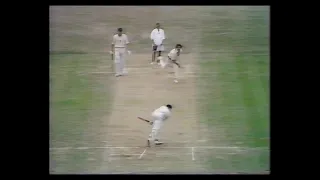 DAVID STEELE b DENNIS LILLEE 39 ENGLAND v AUSTRALIA 4th TEST MATCH DAY 3 THE OVAL AUGUST 30 1975