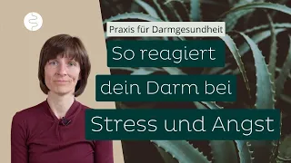 So reagiert Dein Darm bei Stress und Angst - Symptome und Ursachen