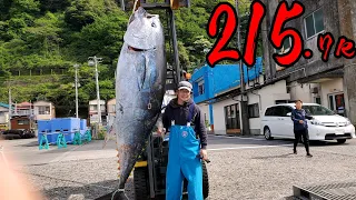 [Shock] When I caught bluefin tuna for the first time, it was a monster... (2023/4/18, Mori Ryumaru)