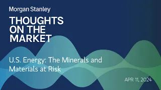 U.S. Energy: The Minerals and Materials at Risk