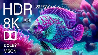 Colors Of The Ocean 8K ULTRA HD - The best sea animals for relaxing and soothing music