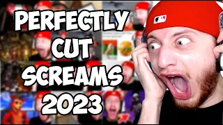 Best Perfectly Cut Screams 2023