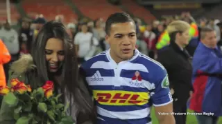 Cheslin Kolbe Proposal