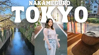 Exploring Tokyo's Trendiest Neighborhoods: Nakameguro, Daikanyama, Ebisu 🇯🇵 Japan Shopping Vlog 2023