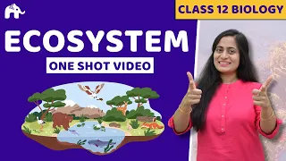 Ecosystem Class 12 One Shot | Biology NCERT Chapter 12 | CBSE NEET