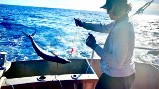 Went For A Trip On A Commercial Mackerel Boat!!