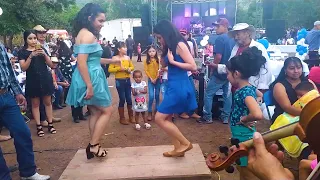 Bailando huapangos en la tabla (compilation) 🔥🔥🔥🔥