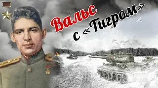 Вальс с Тигром. Мнацаканов А. С.