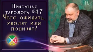 Какие неприятные сюрпризы готовит руководство? Расклад Таро на работу | Школа Таро 18+