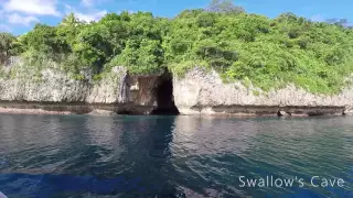 Swimming with humpback whales Vava'u Tonga