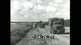 1970г. совхоз Коммунарка Московская обл