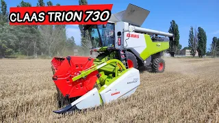 Жнива 2023🔥 Комбайн CLAAS TRION 730 на збиранні пшениці круче LEXION😳