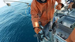 Breaking In The Deckhand - Jigging Rockfish in Alaska