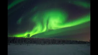 Живое видео северного сияние в Мурманске | Live video of the Northern Lights in Murmansk, Russia