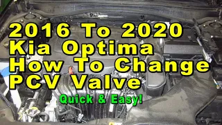 2016 To 2020 Kia Optima How To Change PCV Valve With Part Numbers  - Quick & Easy