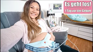 Es geht los! 🤰🏼 Letzter Tag als Schwangere! Wenige Stunden vor Geburt & Baby Countdown! Mamiseelen