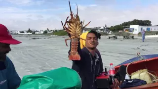 Paternoster Fisherman